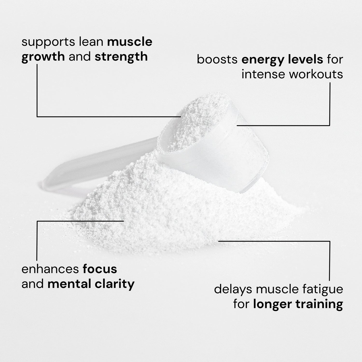 Elite Creatine Monohydrate